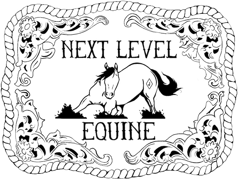 Next_Level_Equine